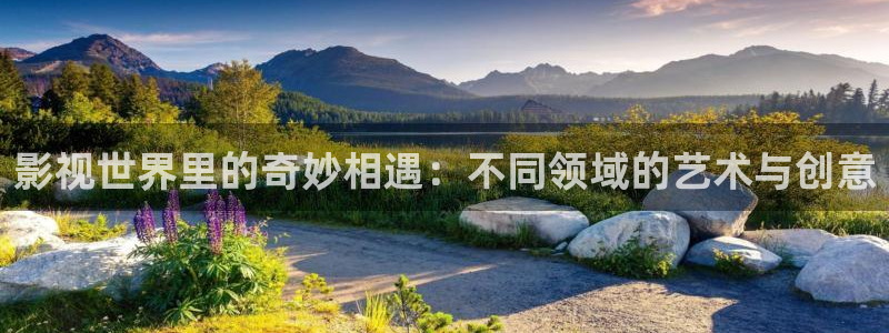 金桔影视下载安装视频