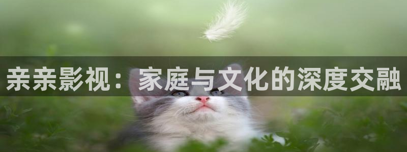 金桔电影