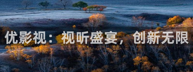 金桔影视网：优影视：视听盛宴，创新无限