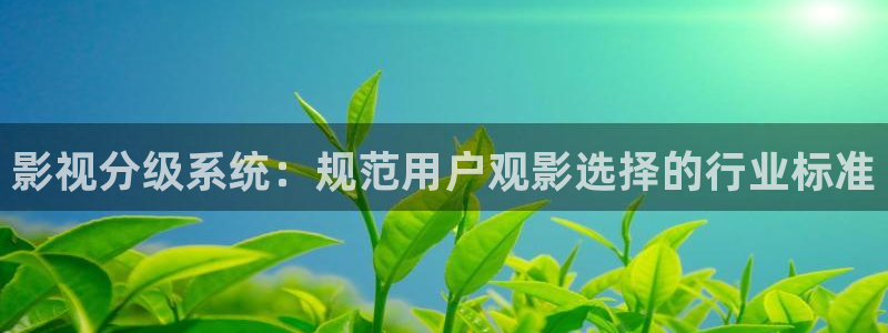 金桔电影网：影视分级系统：规范用户观影选择的行业标准
