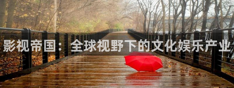 金桔 影视：影视帝国：全球视野下的文化娱乐产业