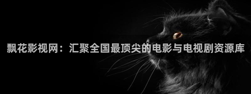 金桔直播视频观看