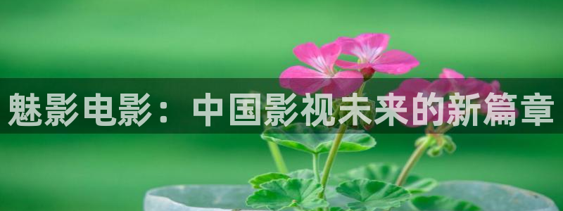 金桔影视：魅影电影：中国影视未来的新篇章
