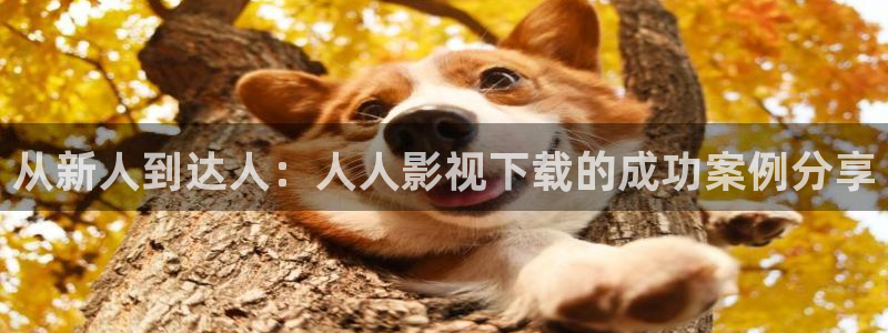 金桔直播视频观看