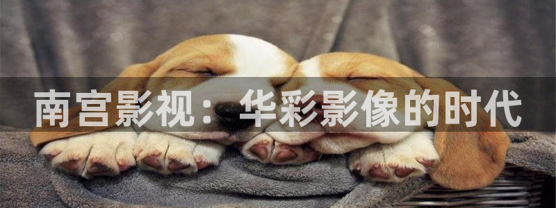 金桔tv：南宫影视：华彩影像的时代