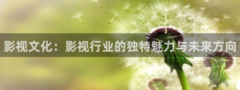 金桔影视网：影视文化：影视行业的独特魅力与未来方向