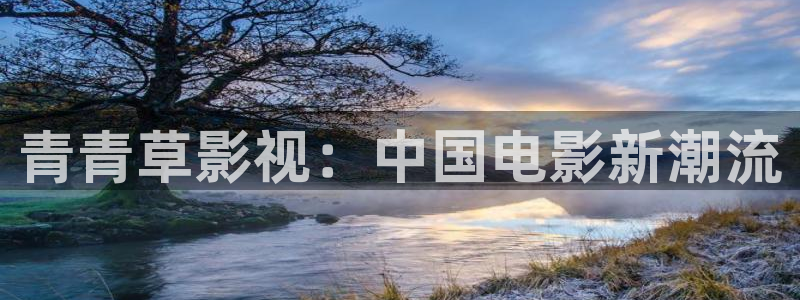 金桔影视下载安装视频
